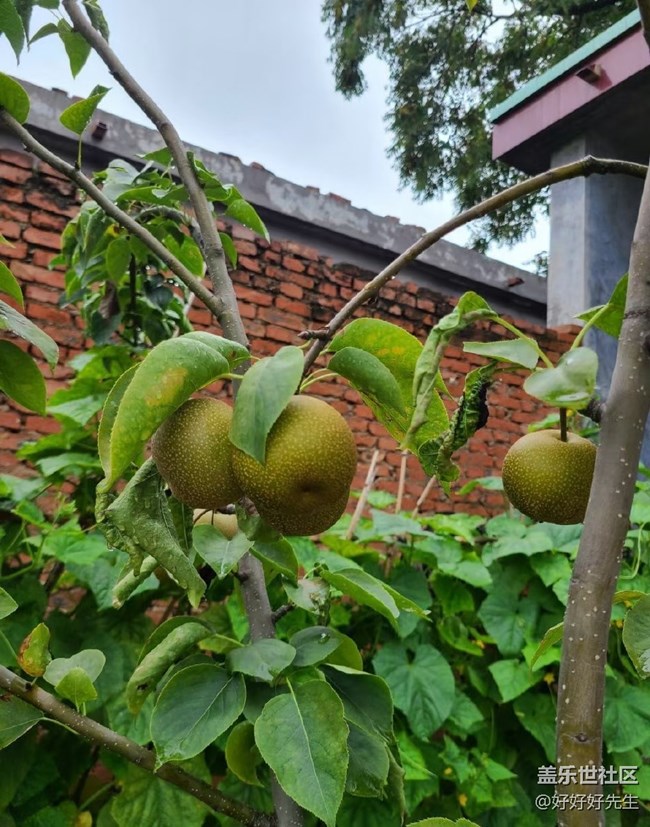 【年中小结】小收获