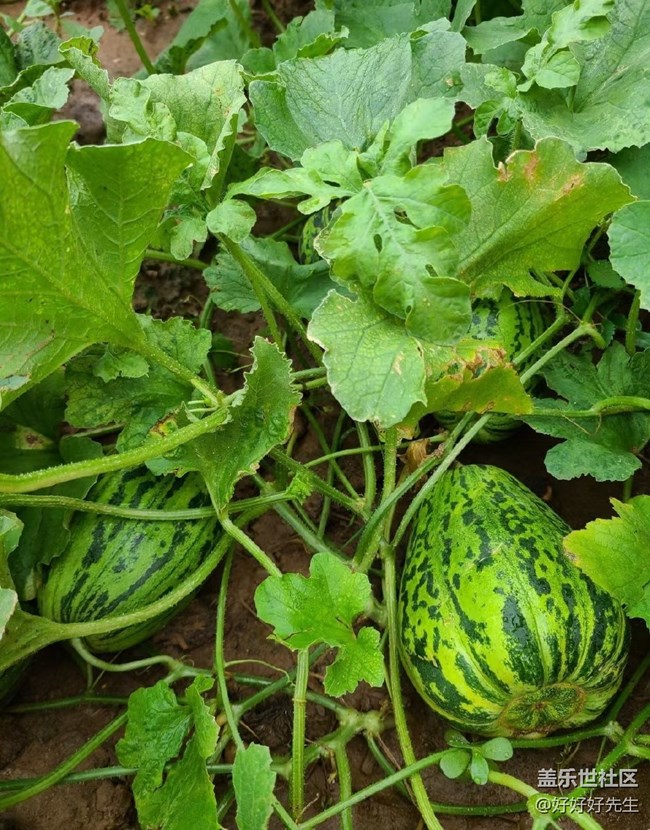 【年中小结】小收获