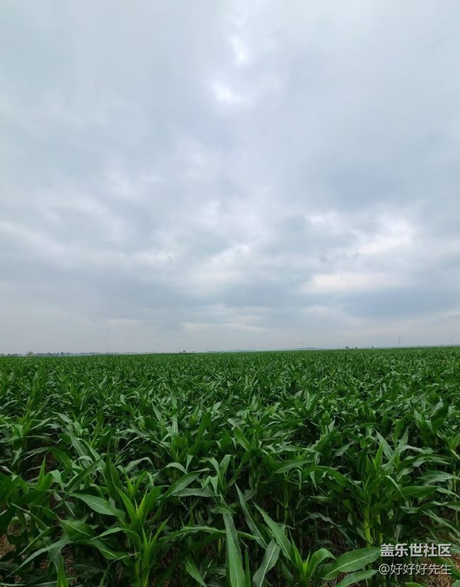 【年中小结】小收获