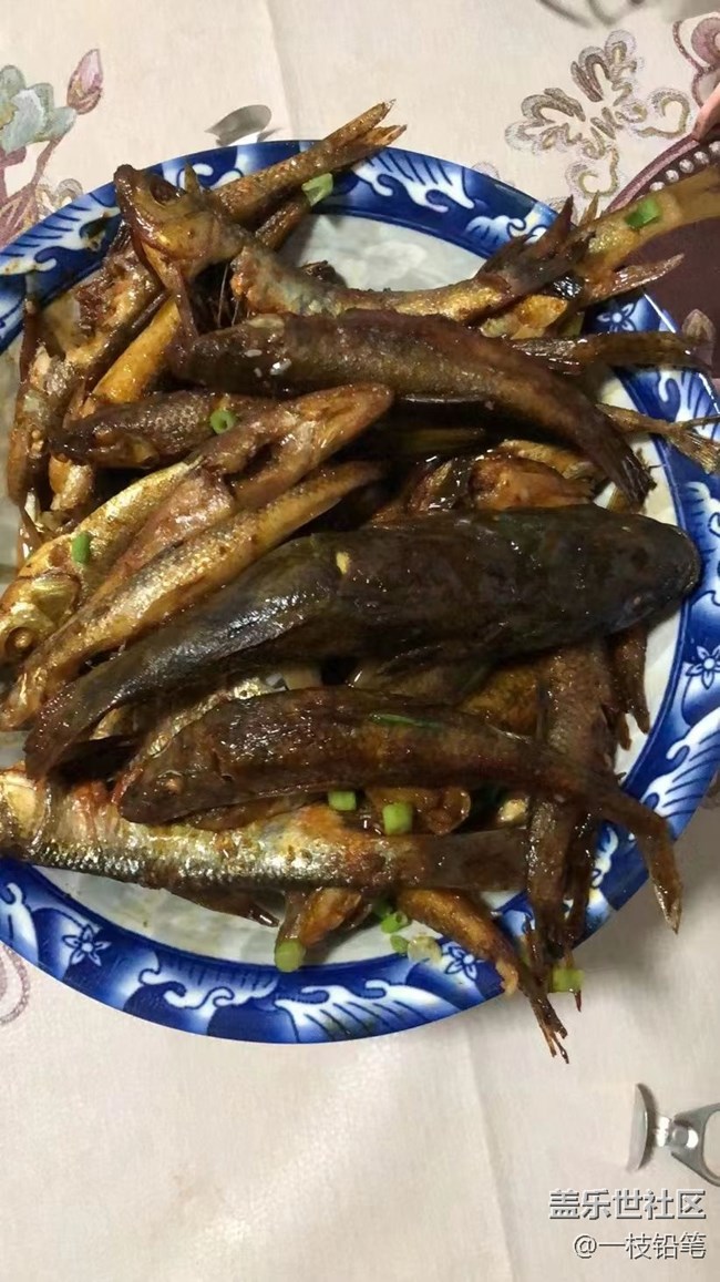 【青葱岁月】自己做菜