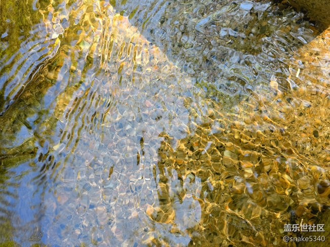 【生命之水】+ 水中藏宝