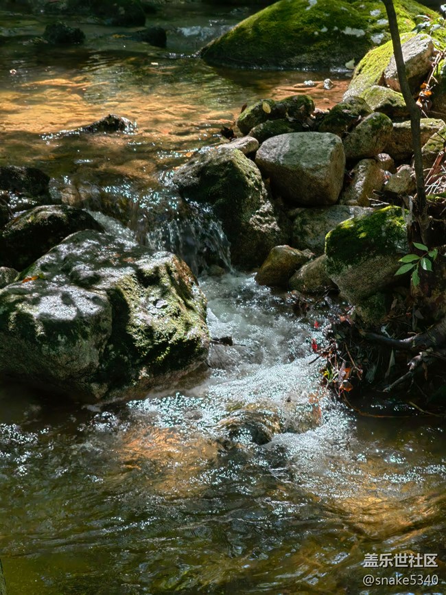 【生命之水】+ 水中藏宝