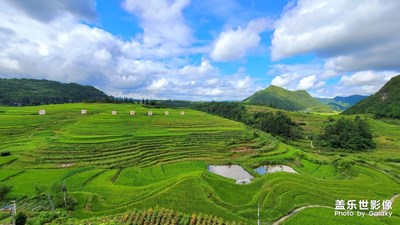 【带着手机去旅行】+路过龙里
