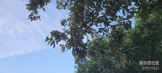 【秋高气爽】秋天了