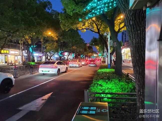 #灯——树上的景观灯