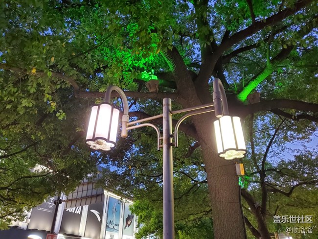 #灯——点亮的路灯