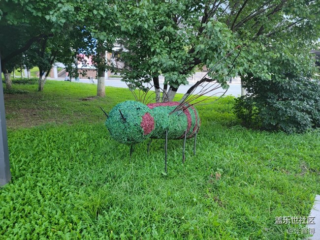 【浑河畔的风光】河畔美景