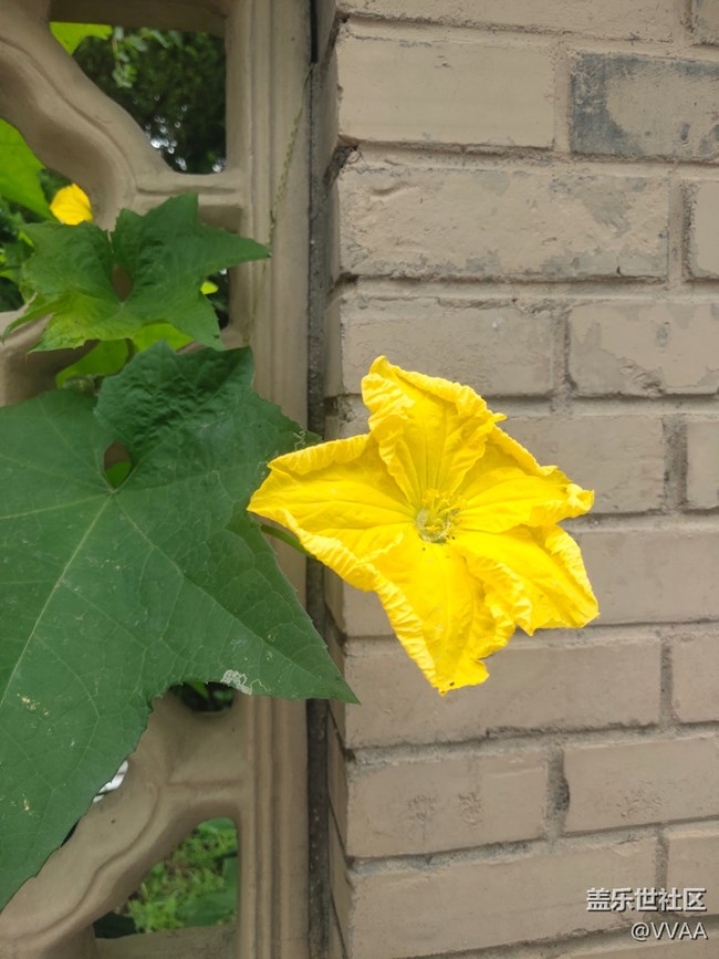 【秋高气爽】秋风好凉爽