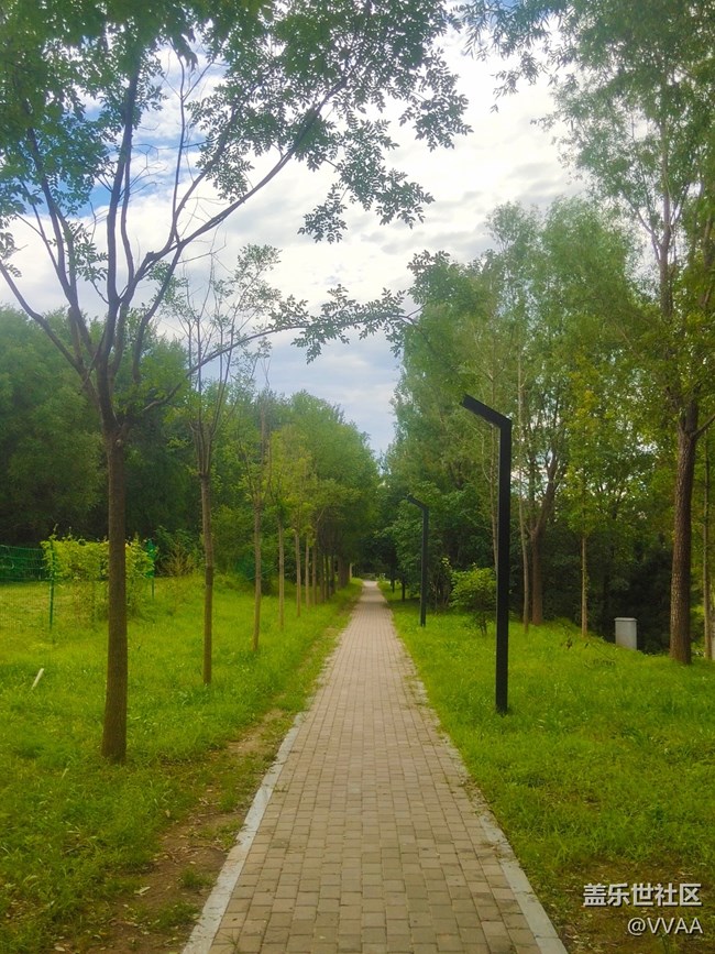 【秋高气爽】秋风好凉爽