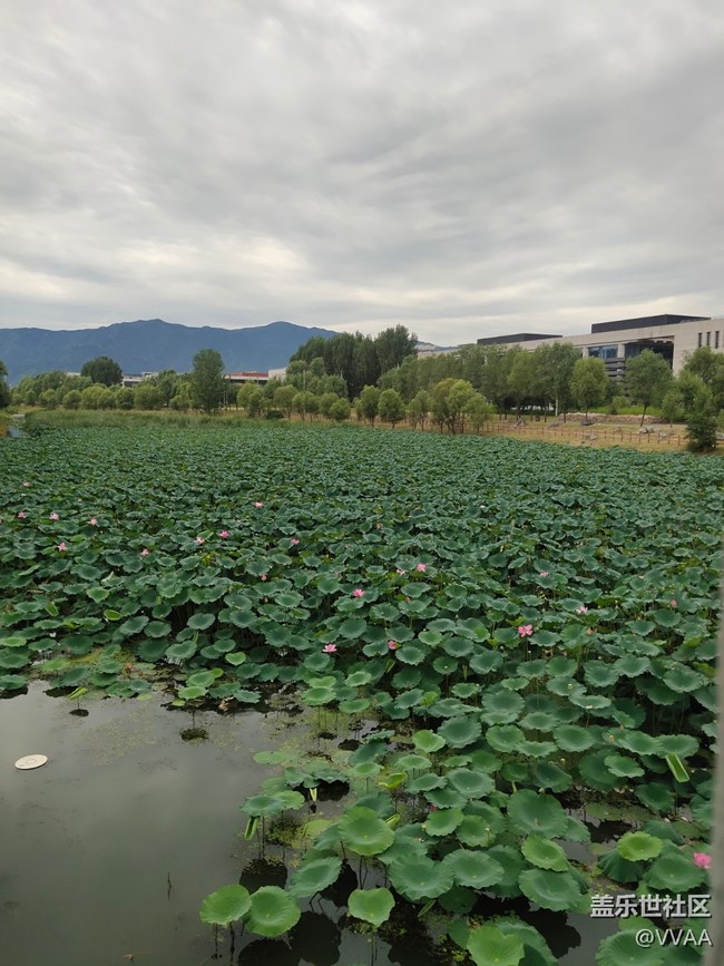 【秋高气爽】秋风好凉爽