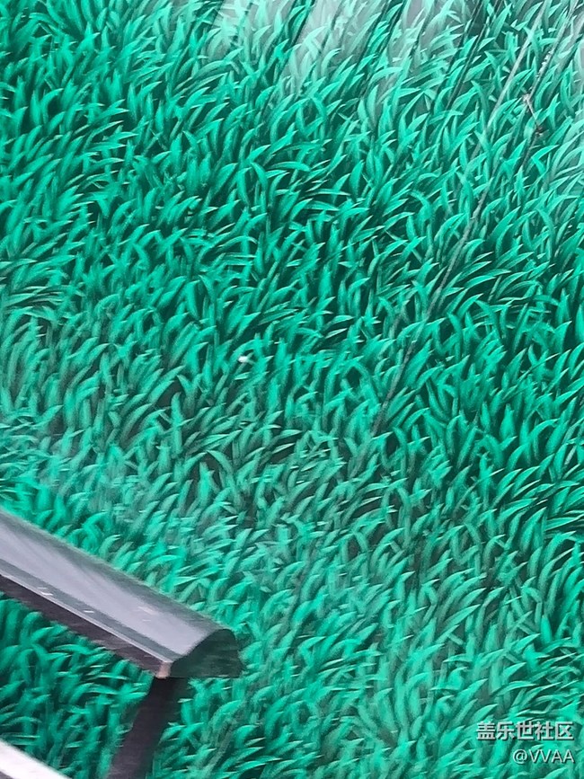 【秋高气爽】秋风好凉爽