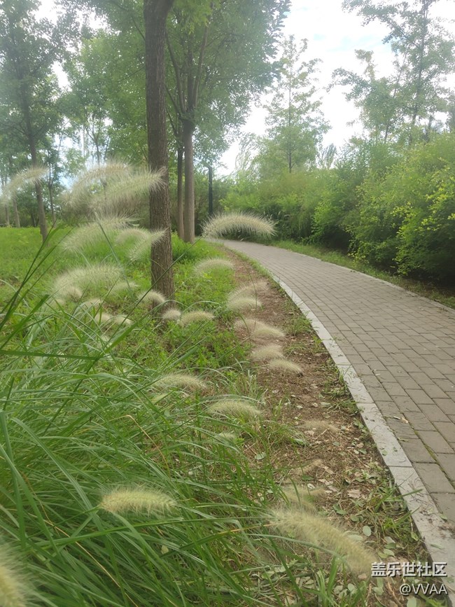 【秋高气爽】秋风好凉爽