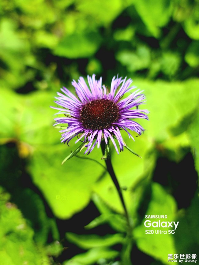 《每周星鲜事》 第116期:三星Galaxy折叠屏系列 新品发布会