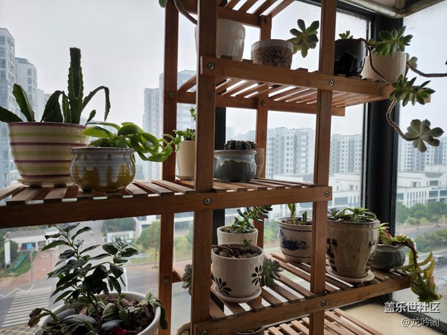 窗台小景