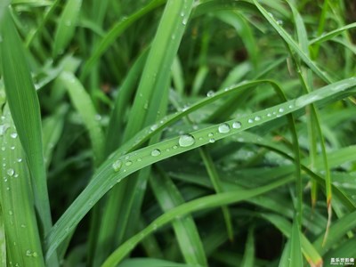 滴水在心