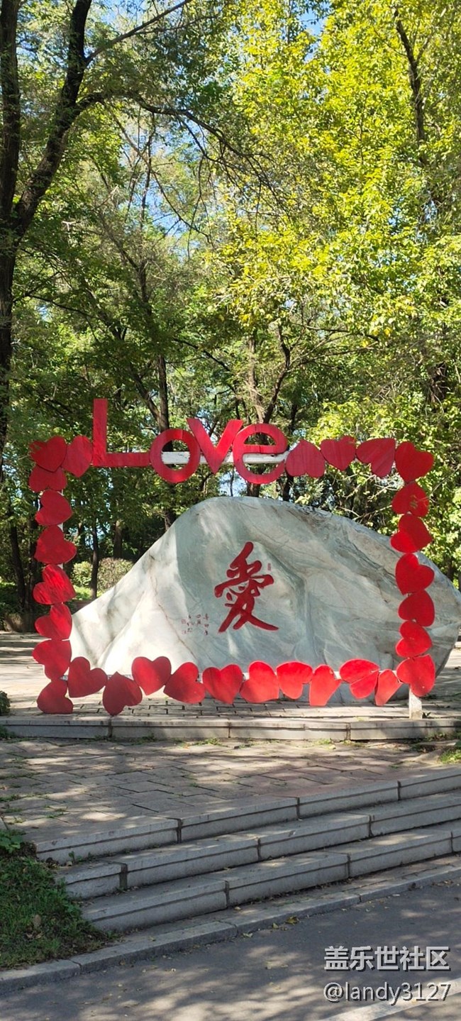 我在世博园品折叠+休闲的一天