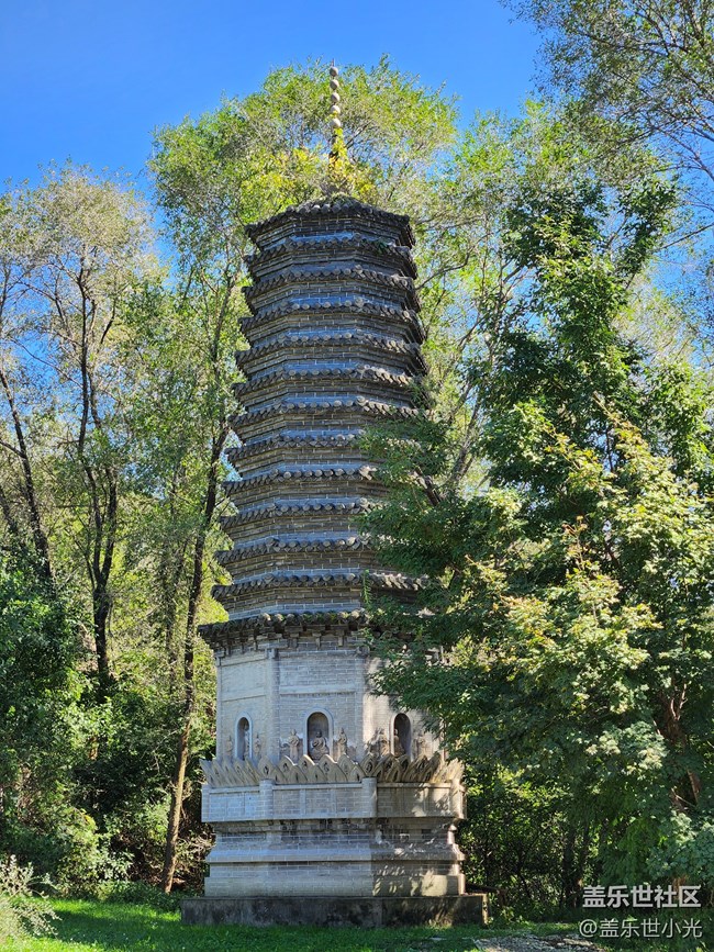 沈阳星部落世博园品鉴Fold4折叠屏回顾