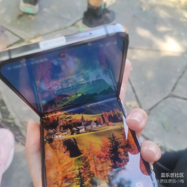 【回顾贴】秋游胜地世博园，好天气，好景色，好心情