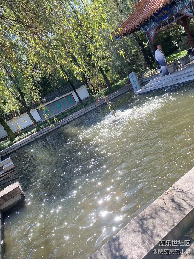 【回顾贴】秋游胜地世博园，好天气，好景色，好心情