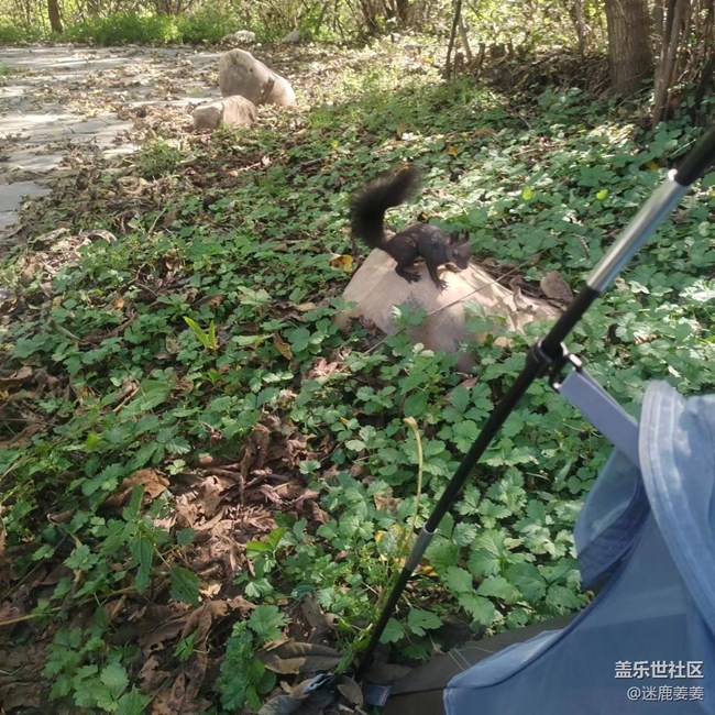 【回顾贴】秋高气爽游世博，新机试用爽歪歪