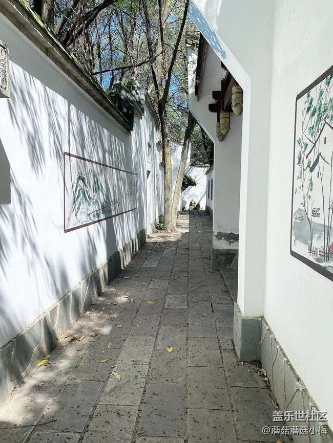 【回顾贴】秋游胜地世博园，好天气，好景色，好心情