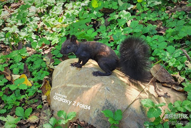 沈阳星部落体验三星第四代折叠屏活动回顾