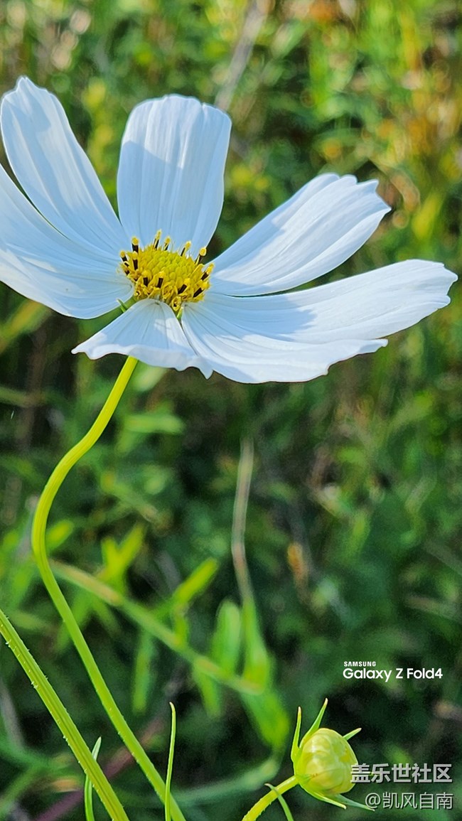 沈阳星部落体验三星第四代折叠屏活动回顾
