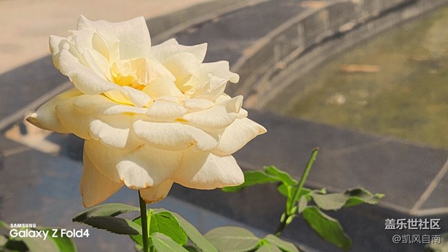 沈阳星部落体验三星第四代折叠屏活动回顾