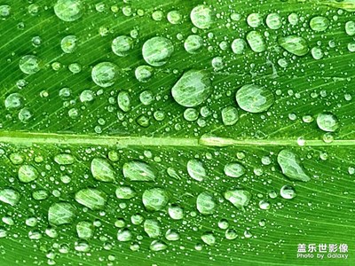 【你眼里的风景】+秋雨过后