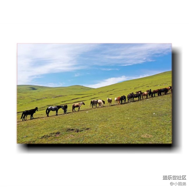 已开奖#第十一期西部大区线上摄影活动【金秋十月】