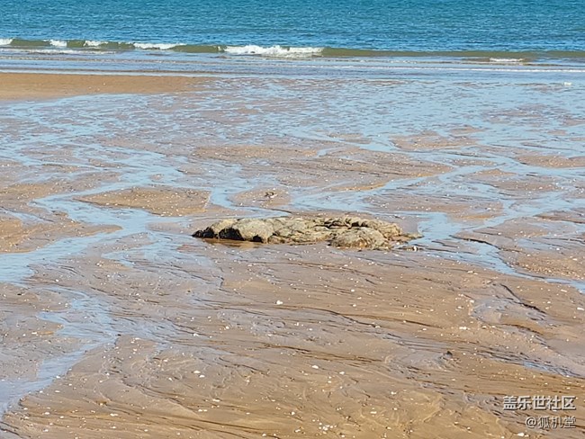 一亿像素的摄像头拍照咋样？三星S22 Ultra来告诉你！