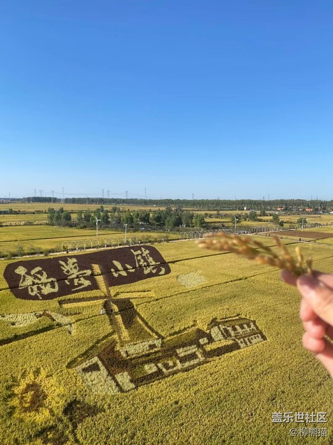 【都市映像】稻梦空间