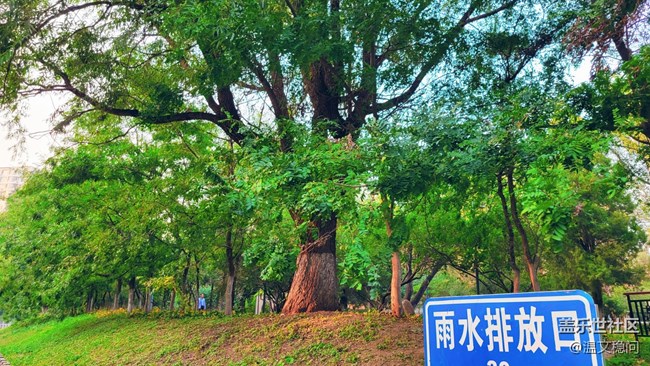【都市映像】运河边