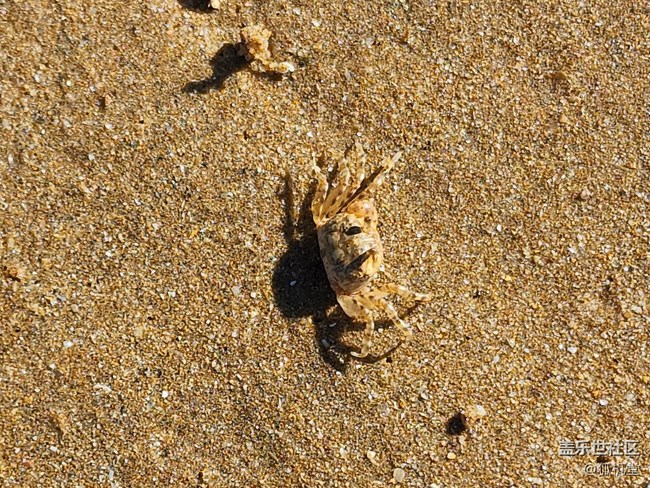 一亿像素的摄像头拍照咋样？三星S22 Ultra来告诉你！