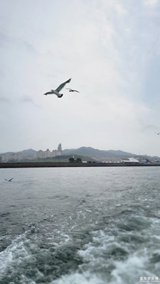 雨中刘公岛-2