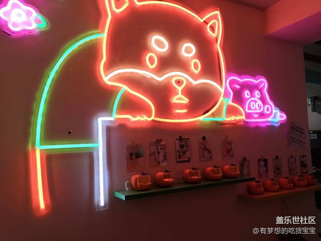 沈阳星部落撸狗摄影&聚餐回顾贴