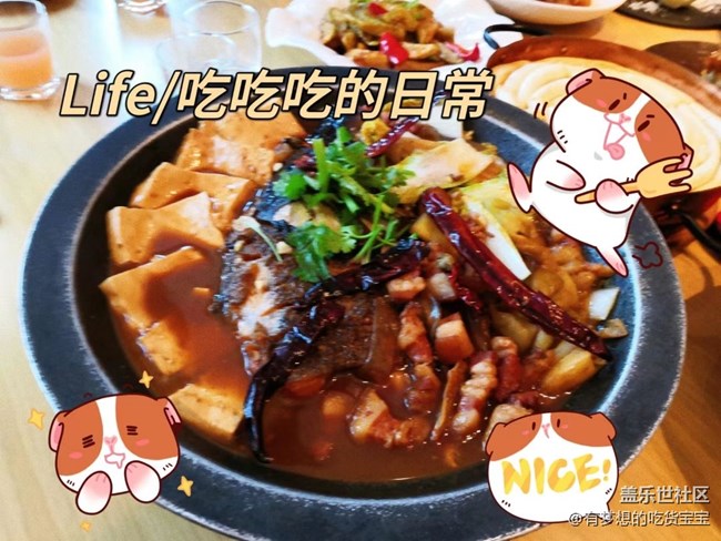 沈阳星部落撸狗摄影&聚餐回顾贴