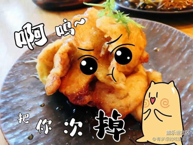 沈阳星部落撸狗摄影&聚餐回顾贴
