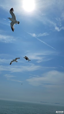 蓬莱行-2