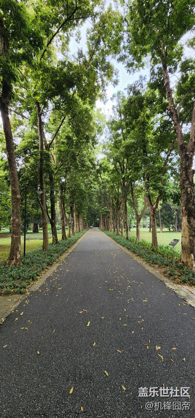 发点S22ULTRA的样张。。。囧