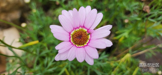 发点S22ULTRA的样张。。。囧