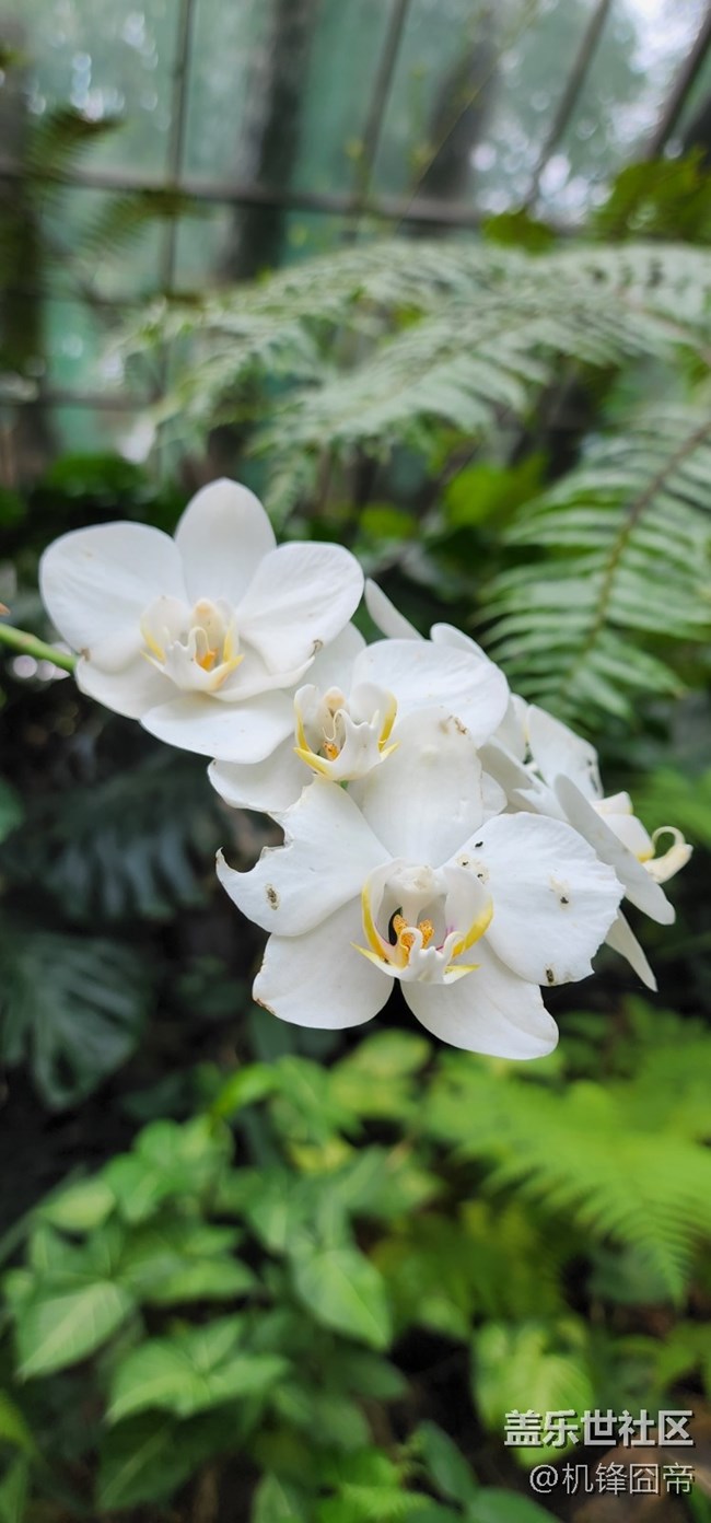 发点S22ULTRA的样张。。。囧