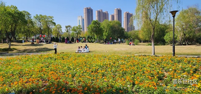 找个图来发帖。