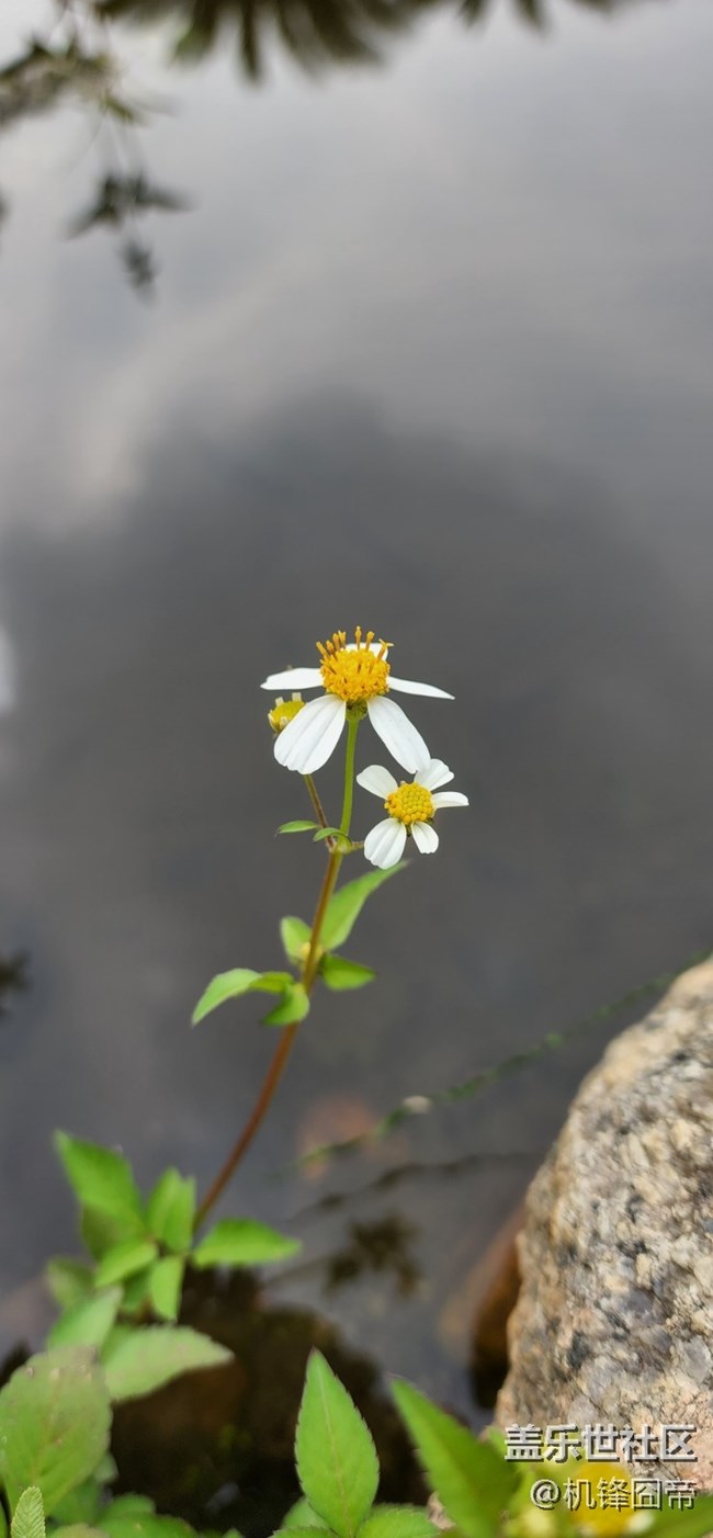 发点S22ULTRA的样张。。。囧