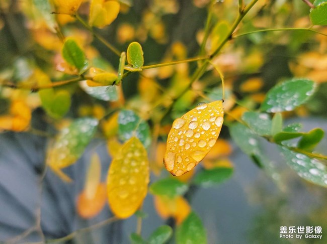 《每周星鲜事》 第122期: