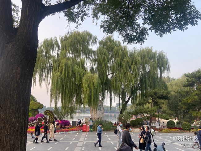 【十一趣事】+溜达