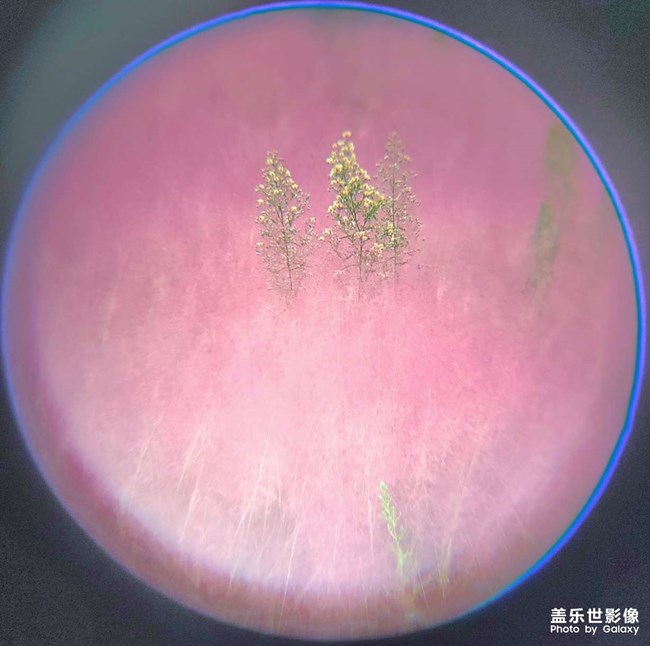《每周星鲜事》 第122期: