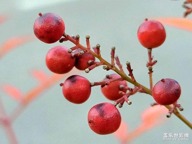 《每周星鲜事》 第122期: