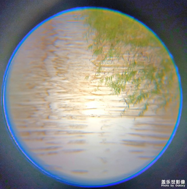 《每周星鲜事》 第122期: