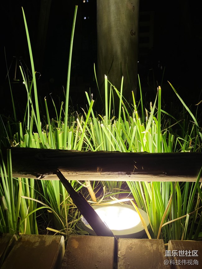 Galaxy Z Flip3 5G照片编辑功能真强大